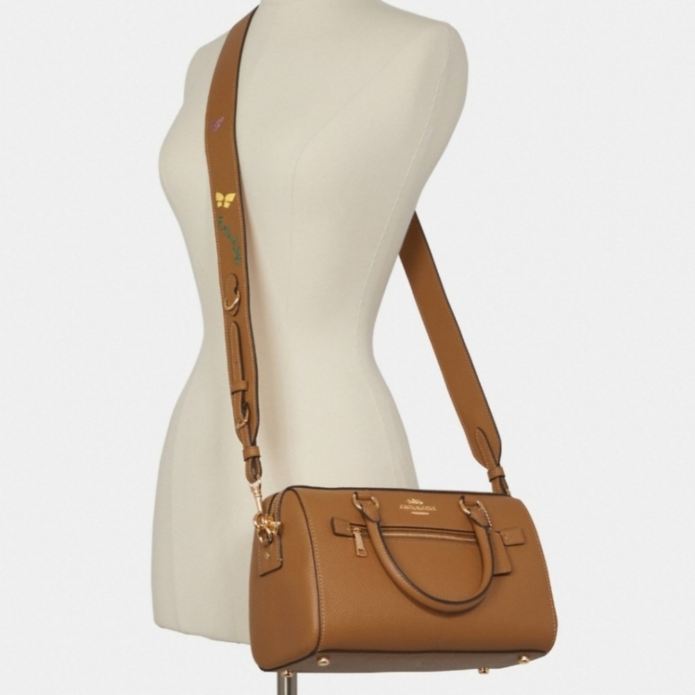 Coach Diary Embroidery Collection Rowan Satchel